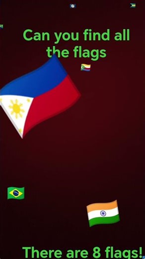 find the 8 flags!