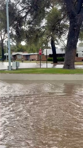 Street flooding (and a human having fun floating down the street) in the Winterhaven neighborhood 🌊 | Whats Up Tucson