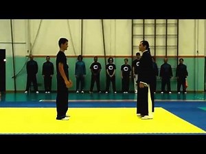 Chen Style Taiji Quan - Fighting Techniques Demonstration - 陈式 太极拳 - Combat Tai Chi