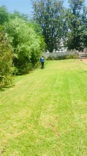 Sharp Mower, Sharp Finish! Quick Lawn Cut”