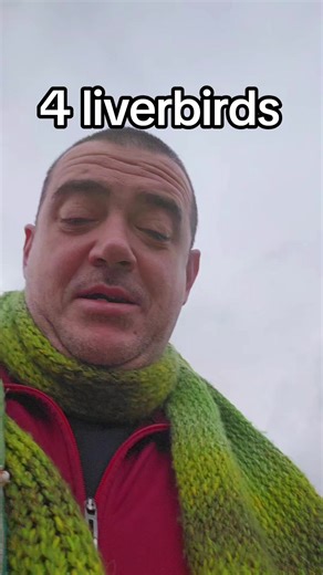 Exploring Liverpool's Cormorants and Liverbird Myths