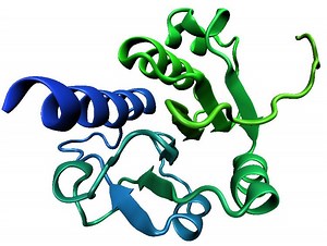 Trefoil knot fold - Alchetron, The Free Social Encyclopedia