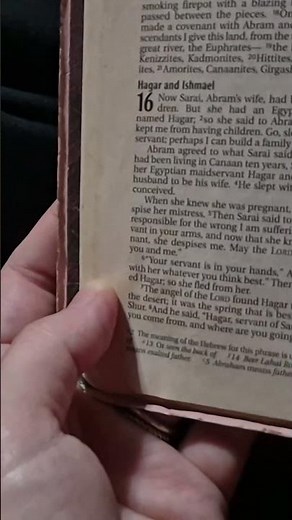 #read #aloud #alongside me through the #entire #bible #pleasesubscribe #full #video in #playlist