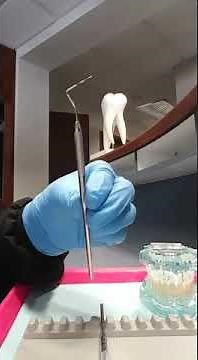 How To Use the Periodontal Probe Dental Instrument