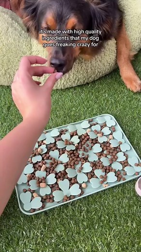 5.8K views · 11 reactions | Got a picky dog?  Try these tips and tricks for your finicky pup. Try our RawMix and Bone Broth recipes in the link in bio ⬆️ | Open Farm | Facebook