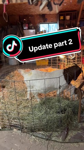 Understanding Goat Pen Changes and Health Updates