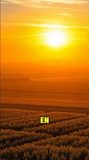 Agricultura Intensa y Clima 🌍