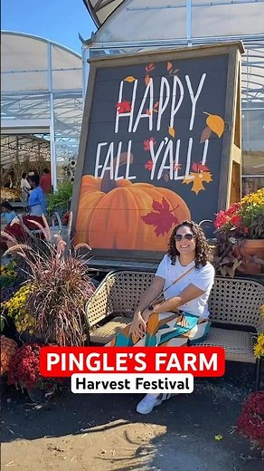 Perfect Fall Day Trip: Pingles Farm Harvest Festival