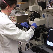 Video: Optimization of Laser-Capture Microdissection for the Isolation of Enteric Ganglia from Fresh-Frozen Human Tissue