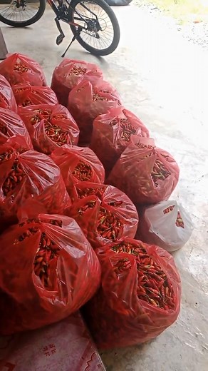 Bjuwal lumbuk dlu KTA hrine nh | Hadri Hadri