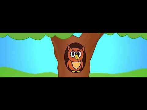 Starfall A Wise Old Owl