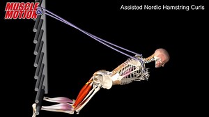 404K views · 444 reactions | New videos available in the Strength...