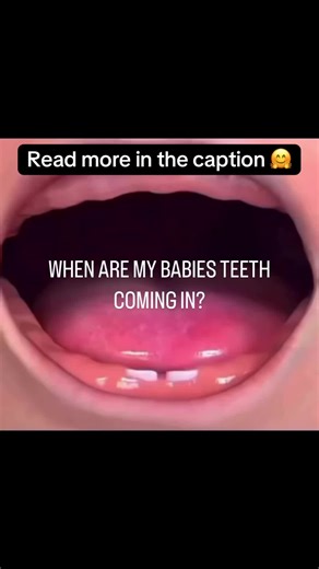 The Milk Booster on TikTok