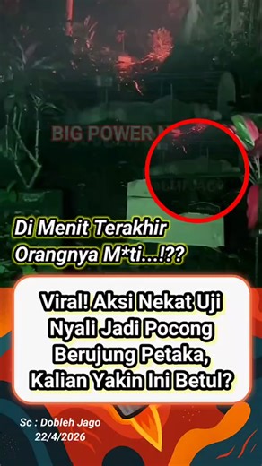 Bisa Asli atau Setingan: Tanda Minimal Jika Sudah Tertanam di Dalam Tanah