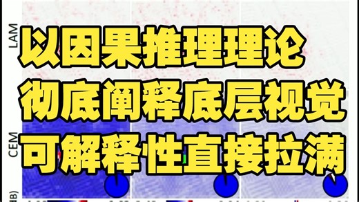 以因果推理理论彻底阐释底层视觉！TPAMI这篇可解释性直接拉满