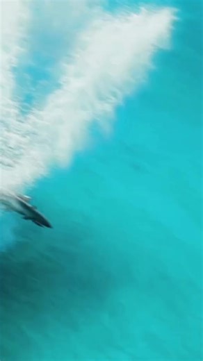 ¿Qué opinas de está historia? . . . #nature #smile #photooftheday #instadaily #cute #family #art #fashion #fun #tbt #fitness #style #friends #travel #happy #picoftheday #food #instagood #follow #like4like #photography #beautiful #love | Alien Project