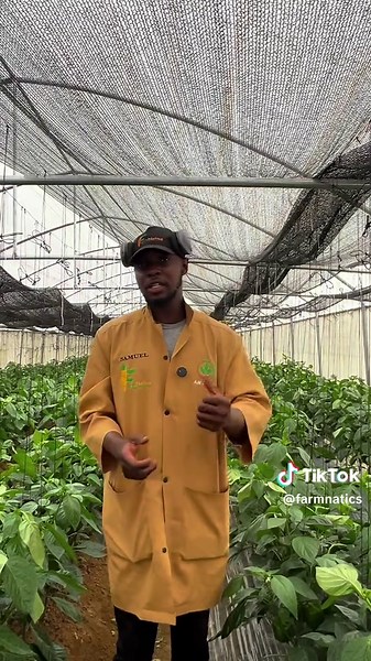 Essential Tools for Sustainable Vegetable Farming in Nigeria