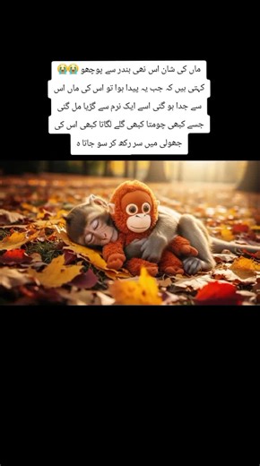 The Heartwarming Story of a Monkey and Its Doll