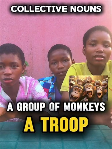 What is a group of lions called? #education #learning #collectivenouns #groupname | Learn with Austin