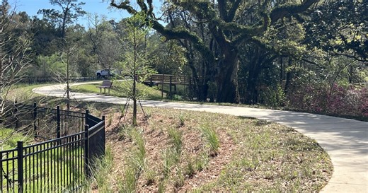 Pensacola’s newest park restores wetlands at Carpenter Creek