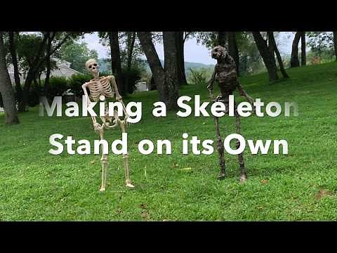 Making a skeleton stand on its own