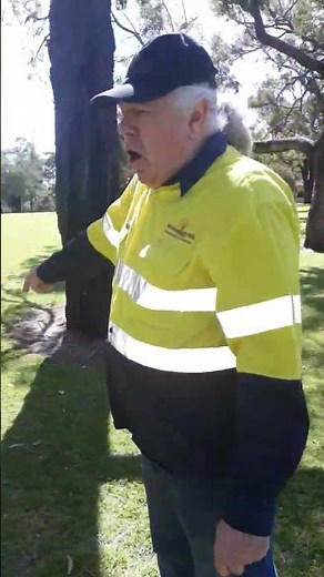 Tree Protection Zone (TPZ)