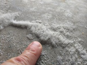 White Fluffy Mold on Concrete - It's Salt, Silly - AsktheBuilder.com