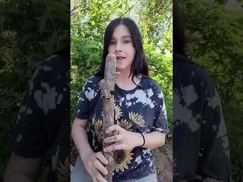 The Basics of How to Play the Native American Flute