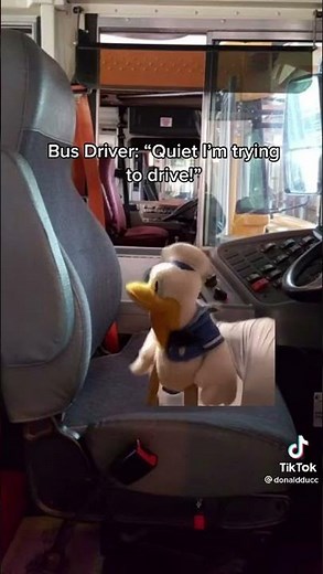 Donald Duck As A Bus Driver