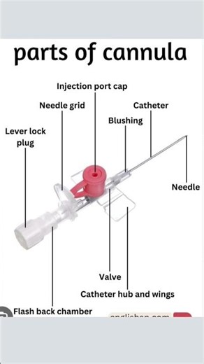 #nursing #study #studytips #nursingdegree #cannulation #shorts