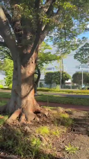 4.暇なので久喜菖蒲公園Live Twitterがコメ反映されないのでストレスのちん🚀 #失敗小僧 #失敗小僧アンチ