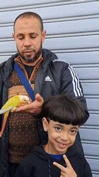 Molina lovers with their brother from the Al-Qariaa bird and animal market in Casablanca 🇲🇦 #Moro...