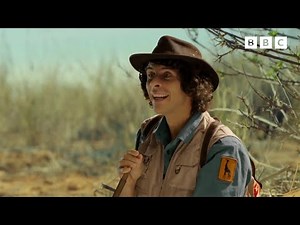 Andy and the Meerkats 🌿 | Andy's Safari Adventures | Andy's Amazing Adventures