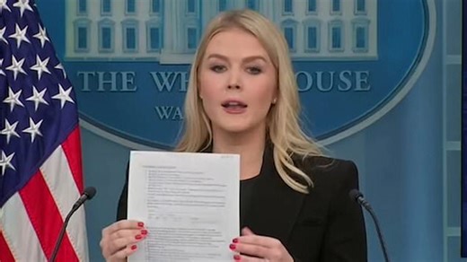 Karoline Leavitt reveals list of where USAID money goes