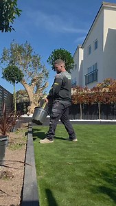 Planting Day 🌿🌸 #plants #flowerbeds #plantinspiration #reels #reel #garden #gardenlife #gardenart | Green Genie