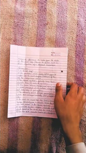 DIY Paper Helicopter 🚁 | It Really Flies 😱 #trend