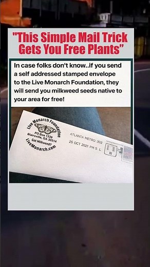 How to Get Free Milkweed Seeds by Mail (Simple Trick Explained)