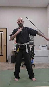 Demo Bo Staff Starting flow.