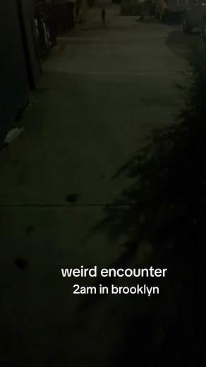 big question marks about this experience i just had #brooklyn #cryptid #cryptidtiktok #nyc #fypシ