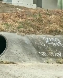 Some people are just smooooooth with it. | Chris Clark Sports