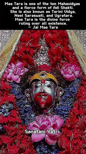 Maa Tara Is One Of The Ten Mahavidyas || Jay Maa Tara || #shorts #maa #taramaa