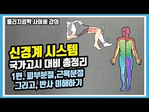 [Nervous System Special Lecture Part 1] Understanding the Principles of Dermatome, Myotome, and R...