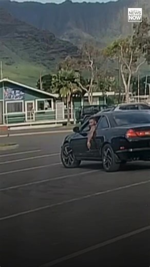 CAUGHT ON CAMERA: New video shows the moment a man fired a gun into the air at Waianae Boat Harbor Sunday afternoon. ⬇ | Hawaii News Now