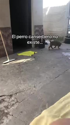 Videos de Randy. J Juan. (@randy..j.juan) con “sonido original - Randy. J Juan.”