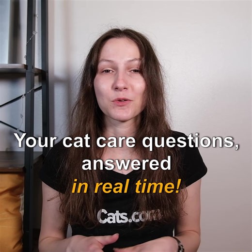 Want an expert’s answers to all your burning cat questions? Now’s the time to ask! Cats.com is partnering with seasoned small animal veterinarian Dr. Sarah Wooten, DVM, CVJ to answer all of your cat care questions in real time. See you soon! | Cats.com
