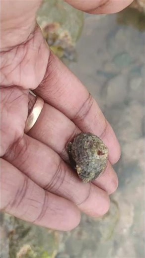 The Shell Game Secret: Simple Moves That Fool everyone...