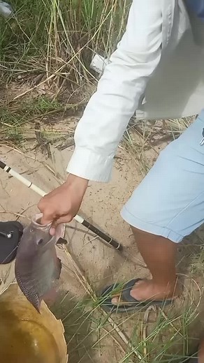 Catch and Release Fishing Techniques Explained