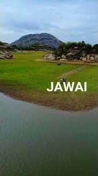 Jawai Road Trip | Leopard Land of Rajasthan | Hidden Safari Paradise #travel