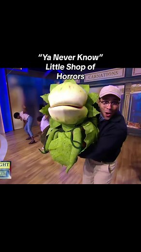 Meet the Urchins of 'Little Shop of Horrors'!
