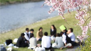 It's the peak for cherry blossom-viewing in Tokyo and other parts of Japan this weekend, so for those about to hamami, we salute you ... and offer 10 tips. | The Japan Times